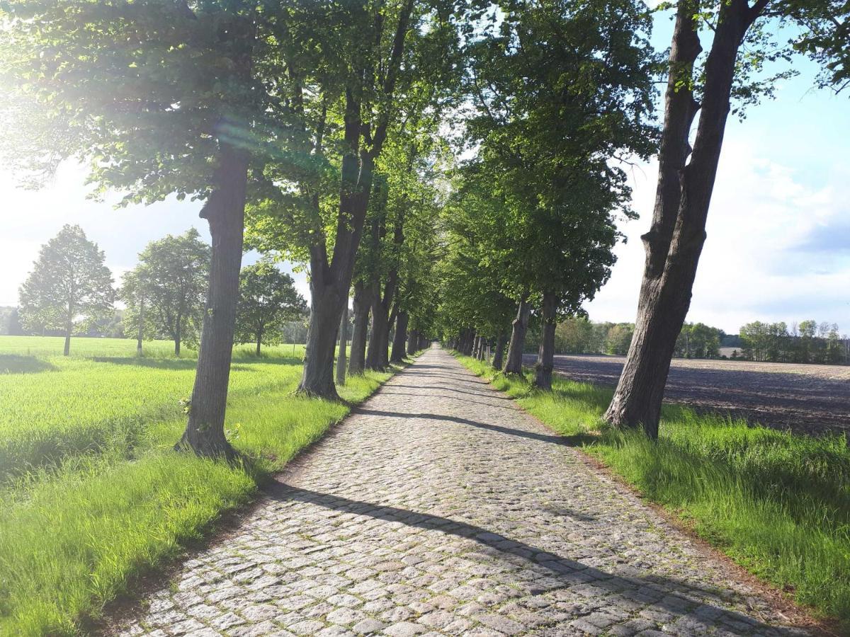 Pension Marina Lauta Zewnętrze zdjęcie